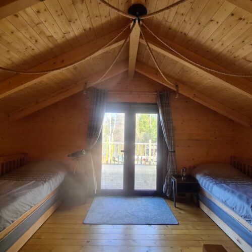 Lac Soupir | Exclusive carp fishing with wild, untouched fish