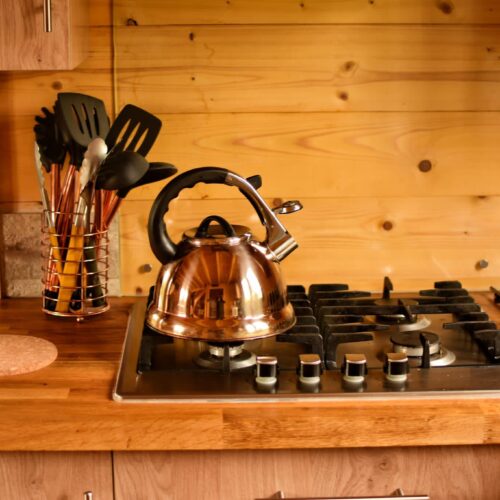 Lac Soupir | Exclusive carp fishing with wild, untouched fish