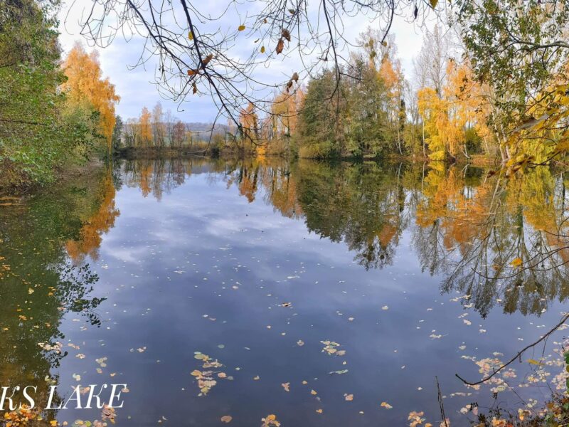 Lac Soupir | Exclusive carp fishing with wild, untouched fish