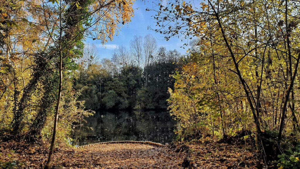 Lac Soupir | Exclusive carp fishing with wild, untouched fish