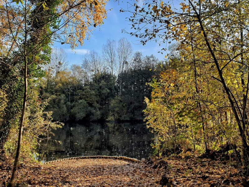 Lac Soupir | Exclusive carp fishing with wild, untouched fish