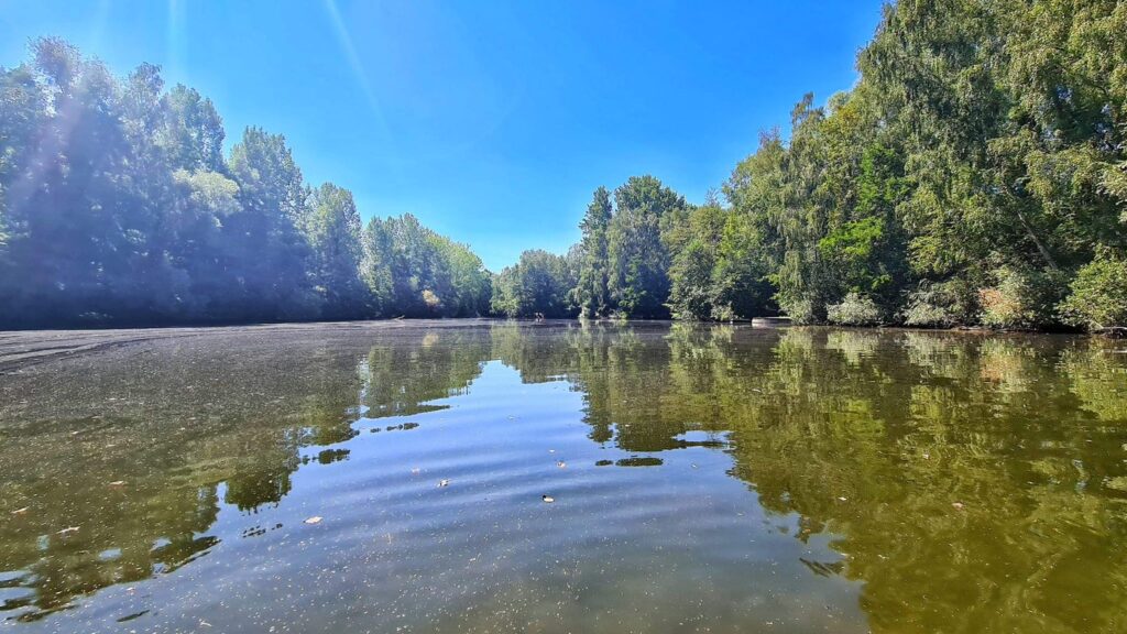 Lac Soupir | Exclusive carp fishing with wild, untouched fish