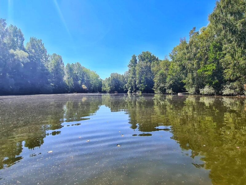 Lac Soupir | Exclusive carp fishing with wild, untouched fish