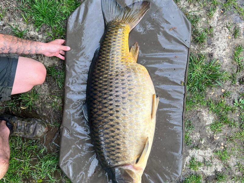 Lac Soupir | Exclusive carp fishing with wild, untouched fish