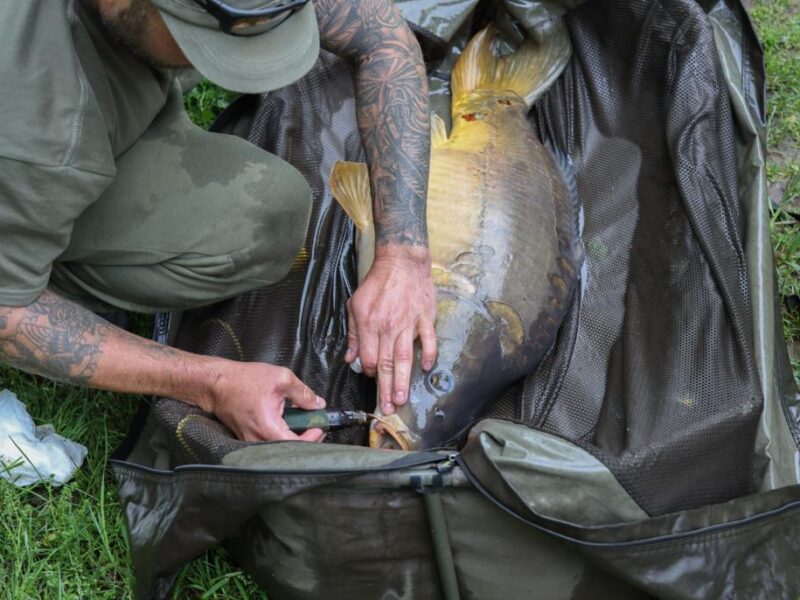 Lac Soupir | Exclusive carp fishing with wild, untouched fish