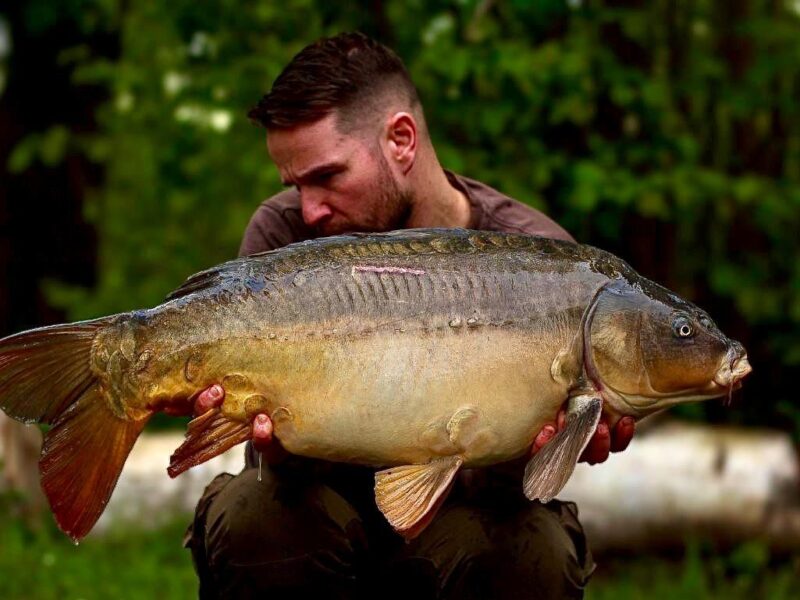 Lac Soupir | Exclusive carp fishing with wild, untouched fish