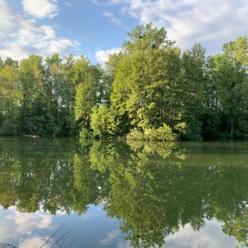 Lac Soupir | Exclusive carp fishing with wild, untouched fish