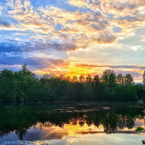 Lac Soupir | Exclusive carp fishing with wild, untouched fish