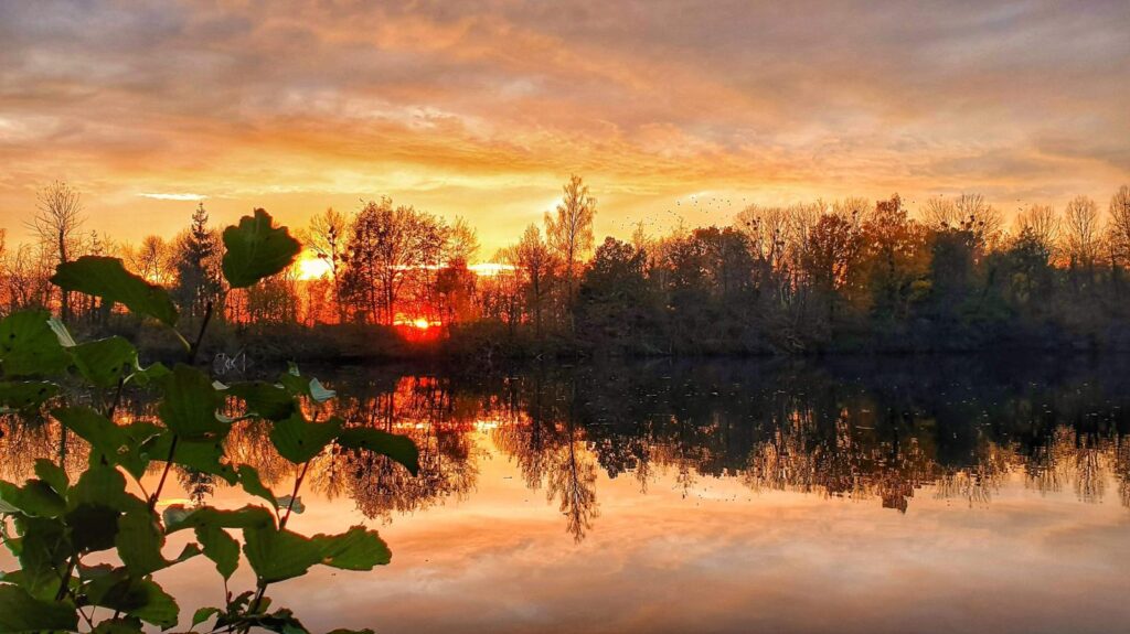 Lac Soupir | Exclusive carp fishing with wild, untouched fish