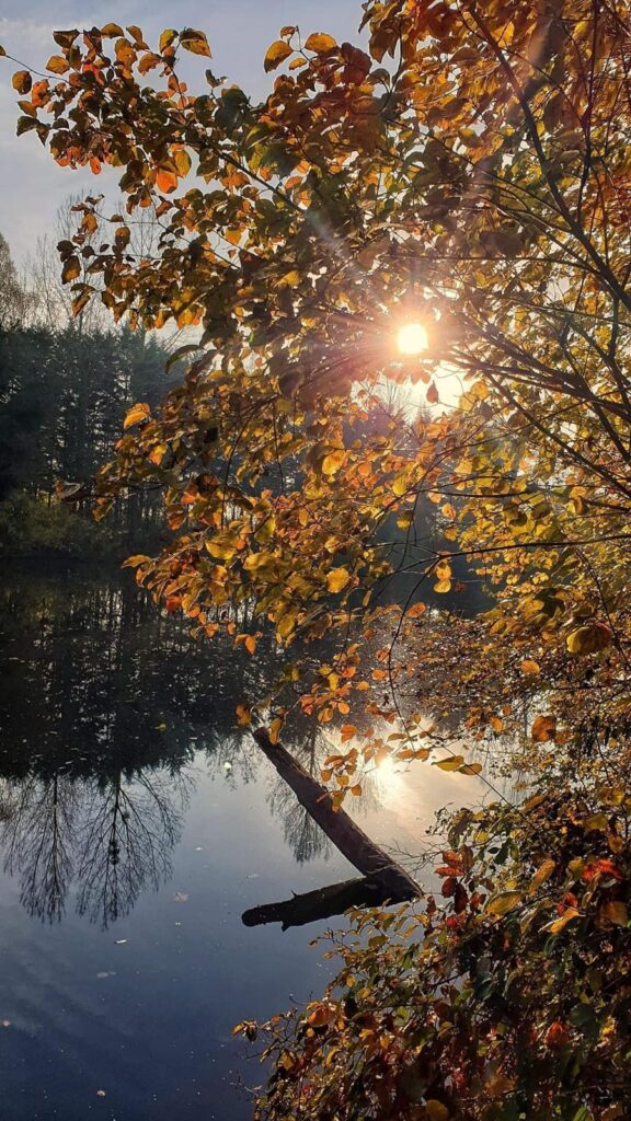 Lac Soupir | Exclusive carp fishing with wild, untouched fish