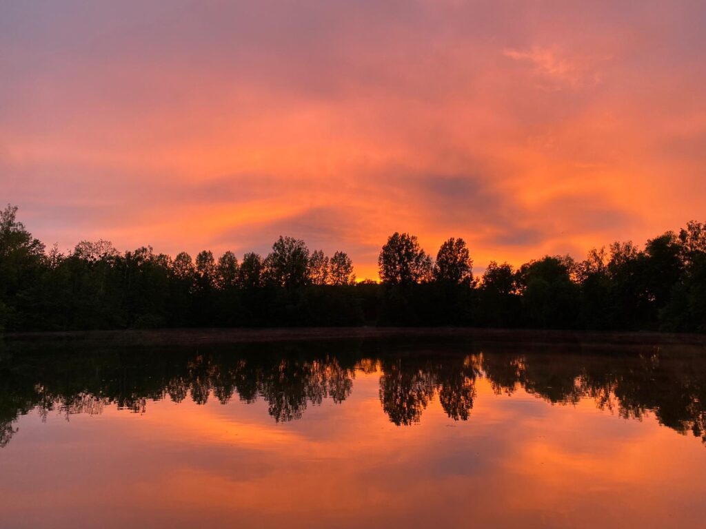Lac Soupir | Exclusive carp fishing with wild, untouched fish