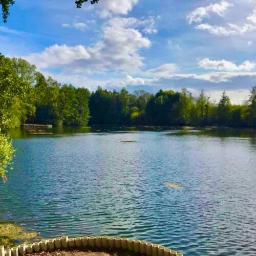 Lac Soupir | Exclusive carp fishing with wild, untouched fish